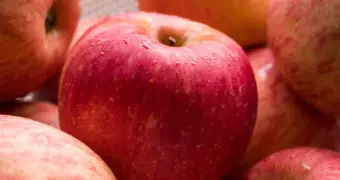 В Казахстане почти 29 000 га яблоневых садов — данные Минсельхоза