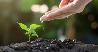 В Мангистауской области стартует 45-дневный экологический челлендж «Таза Маңғыстау»