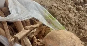 На парковке в Шымкенте обнаружены человеческие останки