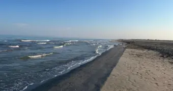 Токаев призвал реализовать Межгосударственную программу по сохранению водных ресурсов Каспия