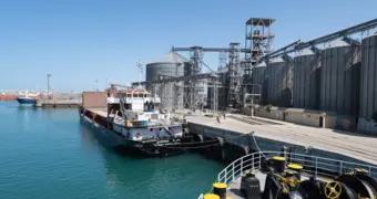 КТЖ временно приостановило экспорт зерна через порт Актау