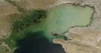 Почему жители Актау в последнее время чаще жалуются на аллергию – версия