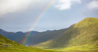 В Казахстане акимы незаконно раздали госземлю на миллиарды тенге