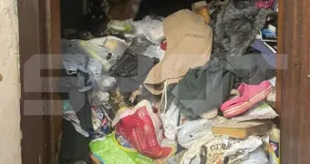 Женщина накопила больше тонны мусора в трёхкомнатной квартире и оставила там восемь котов