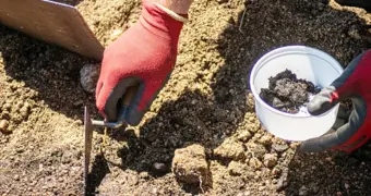 Фортуна под ногами: шведский рыбак случайно нашел клад из 20 тысяч средневековых монет