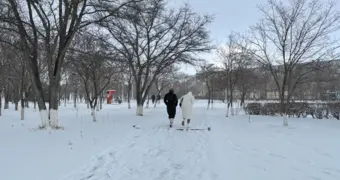 Синоптики рассказали об ожидаемых прогнозах на эту зиму в Мангистауской области