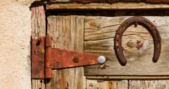 Один предмет, который должен быть в каждом доме в 2026 году — совет восточных мудрецов