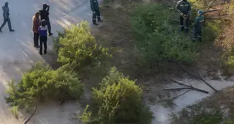 В Актау разгорелся скандал из-за вырубки деревьев под детскую площадку