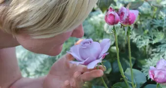 Назван витамин, который помогает вернуть обоняние после болезни