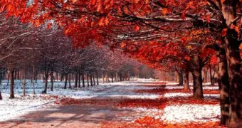 Гороскоп от Тамары Глобы для всех знаков Зодиака на ноябрь