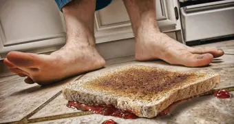 Эксперты рассказали, почему нельзя есть упавшую еду даже спустя секунду