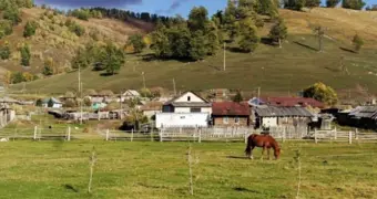 Иностранцы с историческими корнями смогут получать землю в Казахстане