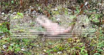 Ужас в лесопарке Екатеринбурга: найдена голая обезглавленная женщина