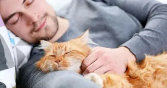 Почему нельзя спать с домашними животными: сомнолог объяснил скрытую угрозу