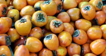 Когда хурма вредит: советы нутрициолога для людей с болезнями ЖКТ