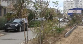 «Мы сами сажали и поливали»: спор из-за автопарковки продолжается в Актау