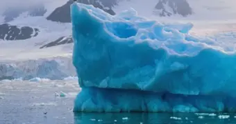 Антарктида на грани катастрофы: 8 километров льда исчезли за 60 дней