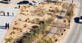 Аллею акаций высадили в 1 микрорайоне Актау