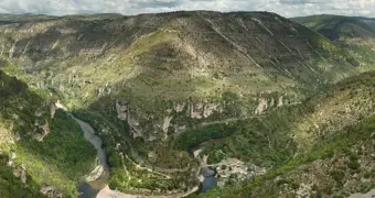 77-летний велосипедист упал в 40-метровый овраг и три дня пил вино