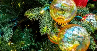 Год Красной Огненной Лошади: как накрыть праздничный стол и привлечь удачу