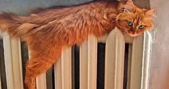 Сколько в Казахстане платят за отопление жители разных городов