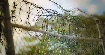 Беременная мать троих детей стала фигуранткой дела об Aktau Fest: адвокат заявил о «правовом давлении»