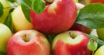 Врач рассказала об изменениях в организме после включения в рацион одного яблока в день