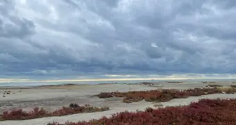 Уходящее море: жители Актау вспоминают пляжи, которых больше нет