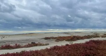 Каспий стремительно мелеет: площадь моря уменьшилась на 36 тысяч квадратных километров