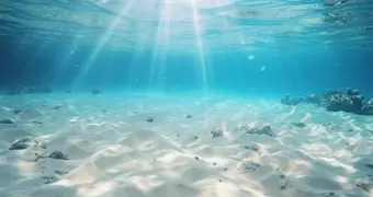 400 лет под водой: раскрыт главный долгожитель планеты