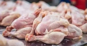 Российская курица не прошла проверку: Казахстан вернул 20 тонн обратно