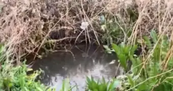 Кто и что опять сливает в море в Актау