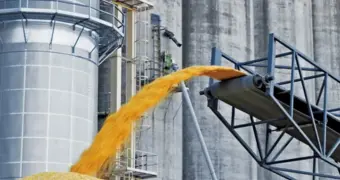 В Казахстане работница элеватора утонула в зерне