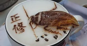 В Пекине начали продавать кофе с тараканами и червями