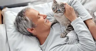 От инфаркта до тревоги: почему кошки сильнее любых таблеток - научная правда о мурлыкании