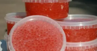 Красная икра по заманчивой цене: в России всплеск интернет-мошенничества