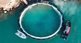 Две тонны мальков лососевых пород выпустили в Каспийское море