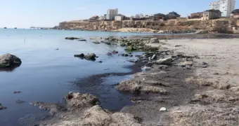 Условия нефтяных контрактов по Каспию проверят структуры ООН