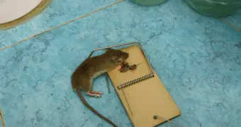 «Мы платили за воздух»: как отреагировали чиновники на коммунальный скандал в Актау