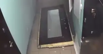 Взрыв в Новосибирске устроила собака (видео)