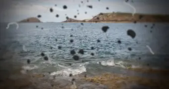 Названы признаки плохого кровообращения мозга