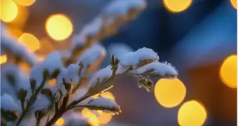 Счастливчики декабря: три знака Зодиака, которых ждет успех и богатство