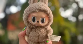 В куколке Лабубу нашли вещество, вызывающее ожирение и гормональные нарушения