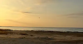 Каспий уходит: что скрывают цифры и готовы ли власти Мангистау к безводному будущему