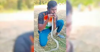 Мужчина сделал искусственное дыхание змее