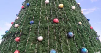 Пронизывающий ветер и долгие поездки: жители Актау недовольны расположением новогодних елок