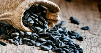 Привычка постоянно грызть семечки зубами оказалась опасной