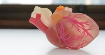 «Пластыри для сердца», которые оживляют клетки: ученые сделали невозможное