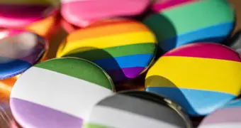 Сенат одобрил поправки о запрете «пропаганды ЛГБТ» в первом чтении