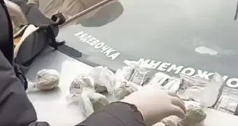 «Я девочка, мне можно»: необычная надпись на авто привела к задержанию наркоторговца в Казахстане (видео)